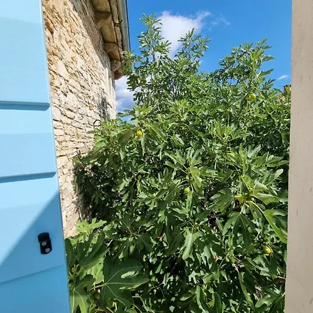 Dom wakacyjny Casa Bella - Istrian Stone House *